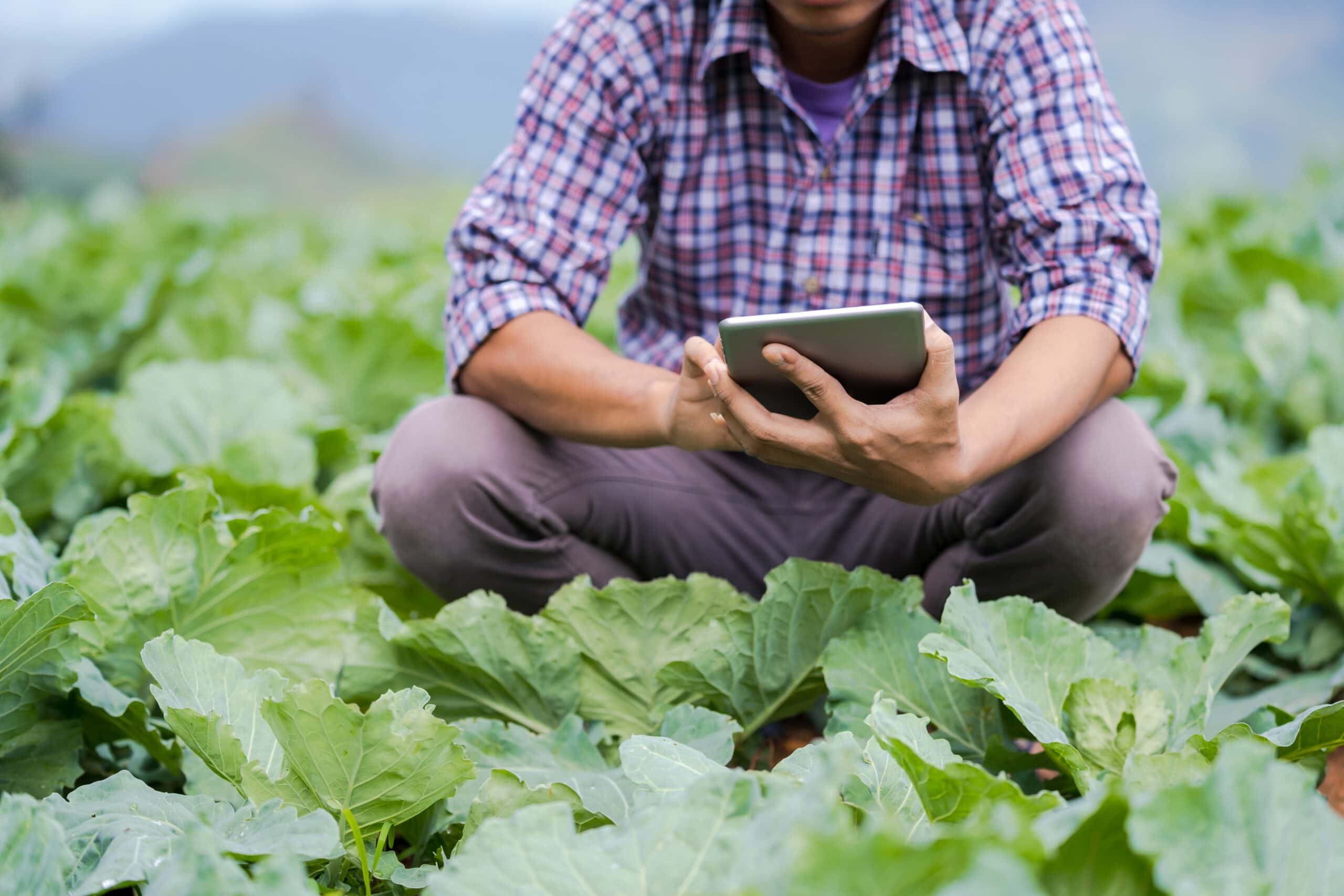 3 Strategies to Stay on Top of the Latest Farm Bill Updates and Ensure Your Organization’s Interests are Protected